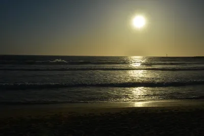 DSC_7240 (Large).JPG